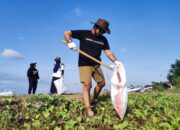 Inisiatif EIGER Adventure, SayaPilihBumi, dan SeaSoldier Berhasil Kumpulkan Berkarung-karung Sampah Plastik di Pantai Sanur