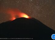 Badan Geologi Perluas Radius Aman Dampak Erupsi Gunung Api Ile Lewotolok