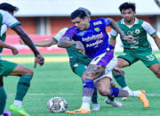 Live Streaming Persib Bandung vs Bali United, Sabtu 18 Mei 2024, Cek Linknya di Sini