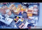 Viral Unboxing Paket Mainan Megatron, Kemenkeu Pastikan Itu Bukan Ulah Bea Cukai