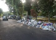 Nekat Buang Sampah Sembarangan, Aplikasi Milik Satpol PP Ini Mencatat Detail Data Anda